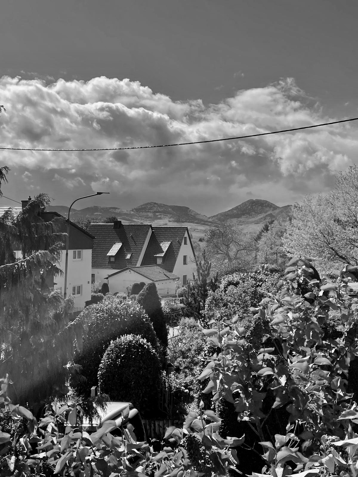 LAN Foto 01 sw